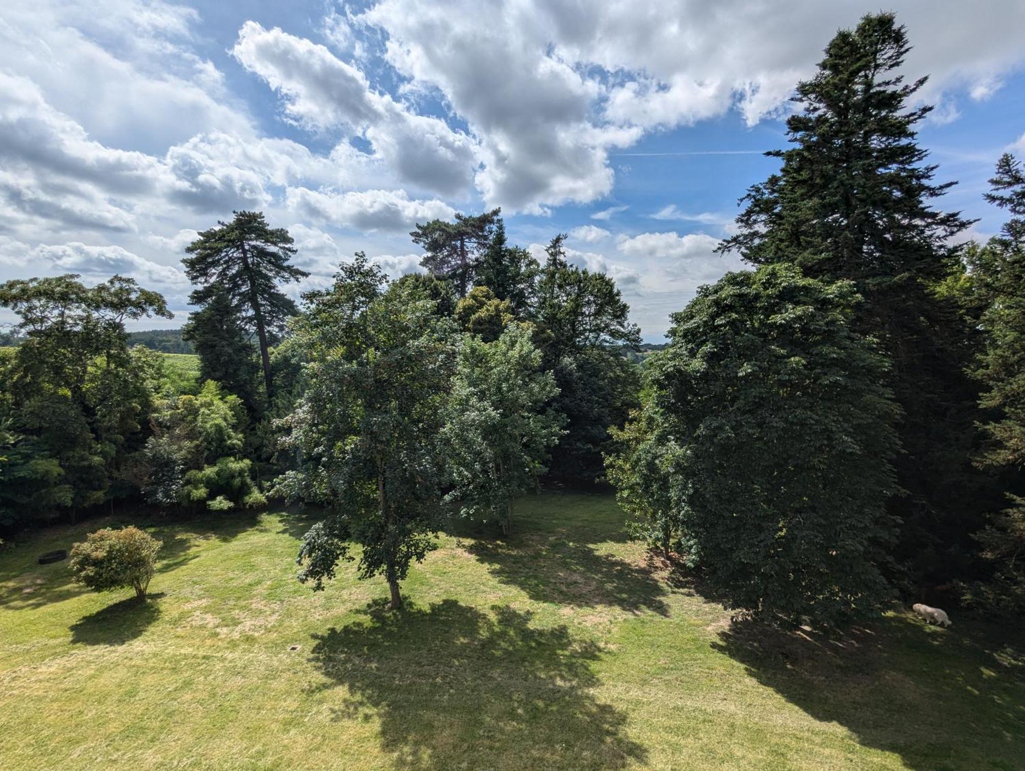 Domaine Du Faure Bed & Breakfast Chadurie ภายนอก รูปภาพ